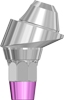 Picture of Angled Abutment Multi Unit, Regular Platform, 17 degree, Quattro (including abutment screw)
Requires item GMUT3 option for BIO | Quattro Overdenture Abutments product (BlueSkyBio.com)